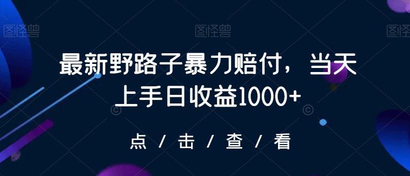 最新野路子暴力赔付，当天上手日收益1000+【仅揭秘】-无双资源网