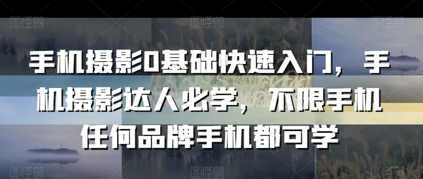 手机摄影0基础快速入门，手机摄影达人必学，不限手机任何品牌手机都可学-无双资源网