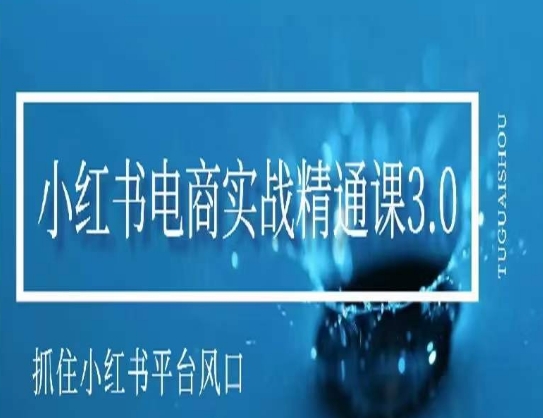 小红书电商实战精通课3.0，抓住小红书平台的风口，不错过有一个赚钱的机会-无双资源网