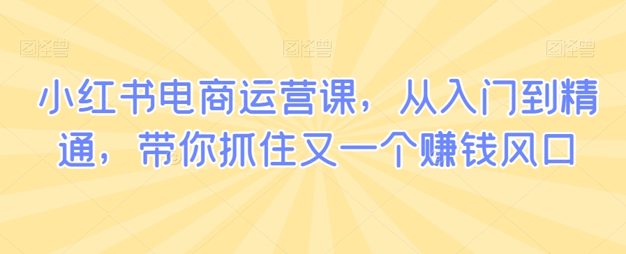 小红书电商运营课，从入门到精通，带你抓住又一个赚钱风口-无双资源网