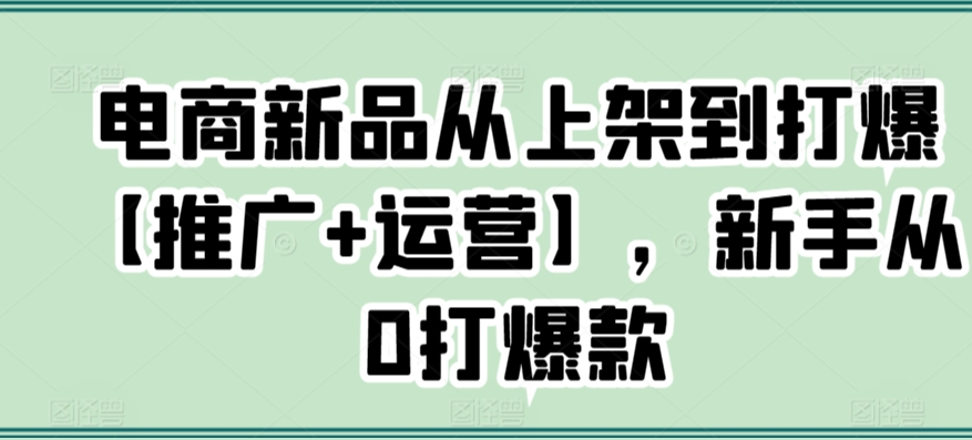 电商新品从上架到打爆【推广+运营】，新手从0打爆款-无双资源网