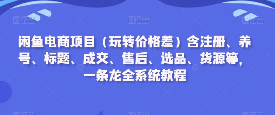 闲鱼电商项目（玩转价格差）含注册、养号、标题、成交、售后、选品、货源等，一条龙全系统教程-无双资源网