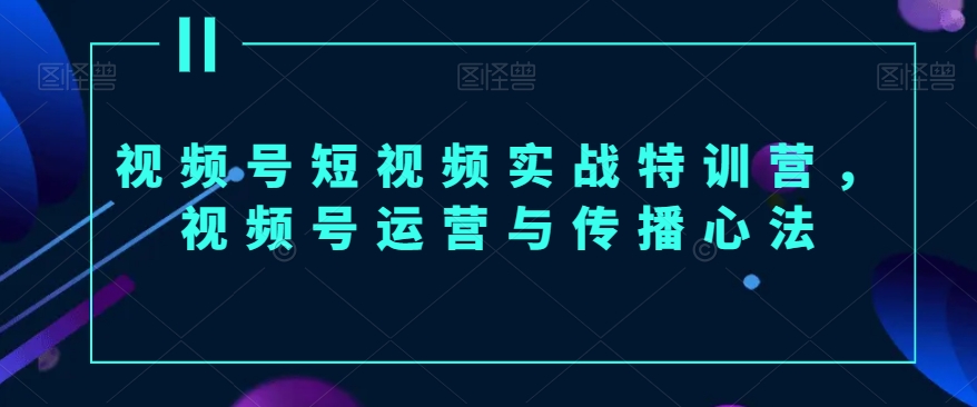 视频号短视频实战特训营，视频号运营与传播心法-无双资源网