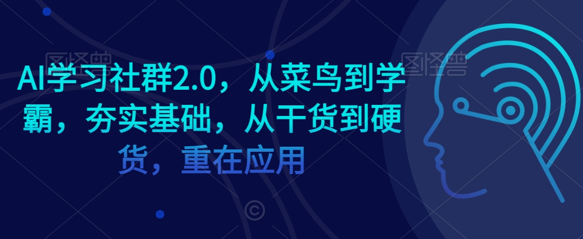 AI学习社群2.0，从菜鸟到学霸，夯实基础，从干货到硬货，重在应用-无双资源网