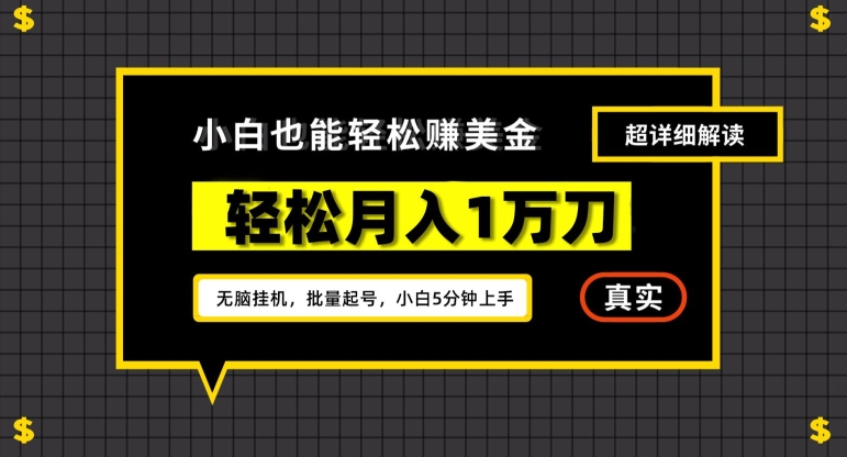 谷歌看广告撸美金2.0，无脑挂机，多号操作，月入1万刀【揭秘】-无双资源网