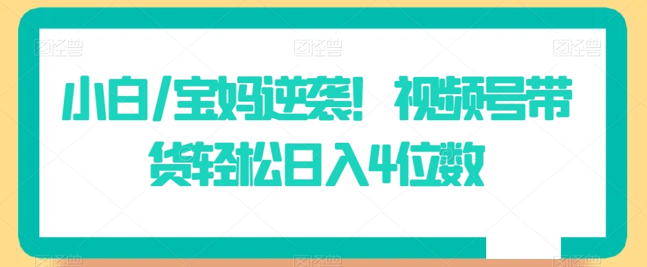 小白/宝妈逆袭！视频号带货轻松日入4位数【揭秘】-无双资源网