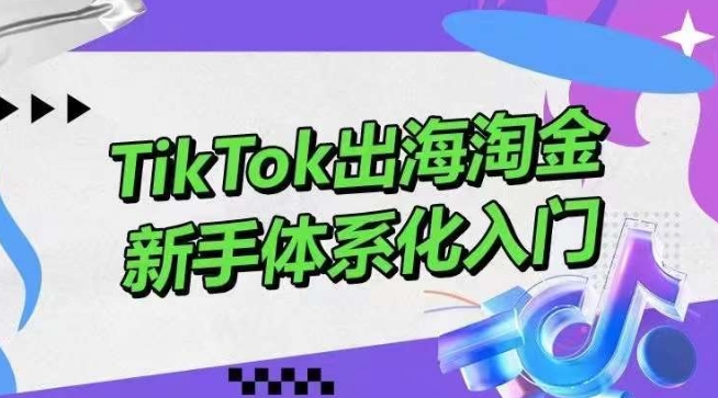 TikTok出海淘金，新手体系化入门，零基础快速入门，掌握短视频、直播带货等引流到变现的知识-无双资源网