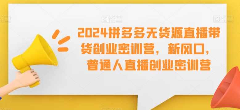 2024拼多多无货源直播带货创业密训营，新风口，普通人直播创业密训营-无双资源网