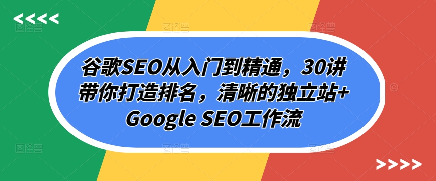 谷歌SEO从入门到精通，30讲带你打造排名，清晰的独立站+Google SEO工作流-无双资源网