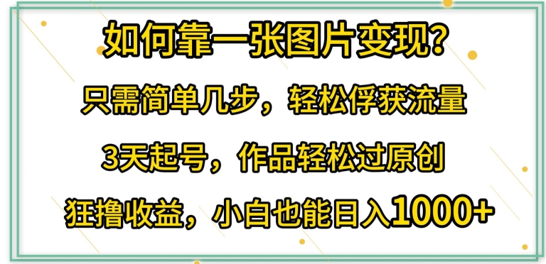 如何靠一张图片变现?只需简单几步，轻松俘获流量，3天起号，作品轻松过原创【揭秘】-无双资源网