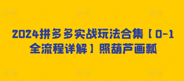 2024拼多多实战玩法合集【0-1全流程详解】照葫芦画瓢-无双资源网