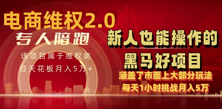 电商维权 4.0 如何做到月入 5 万+每天 1 小时新人也能快速上手【仅揭秘】-无双资源网