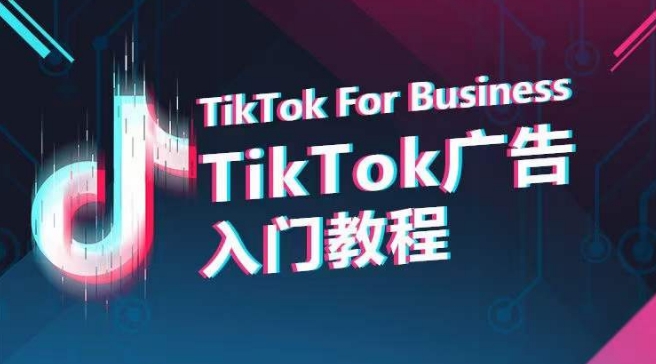 TikTok广告入门教程，从0到1掌握TikTok投放的全流程-无双资源网