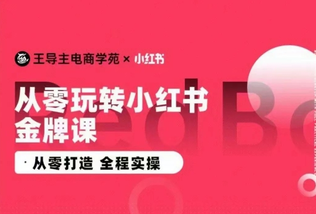 王导主·小红书电商运营实操课，​从零打造  全程实操-无双资源网