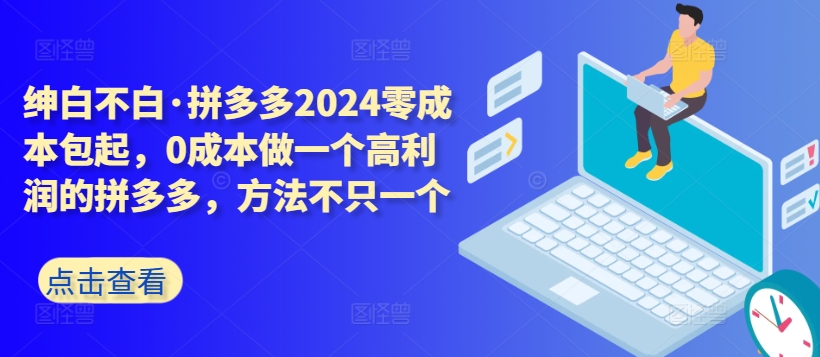 拼多多2024零成本包起，0成本做一个高利润的拼多多，方法不只一个-无双资源网