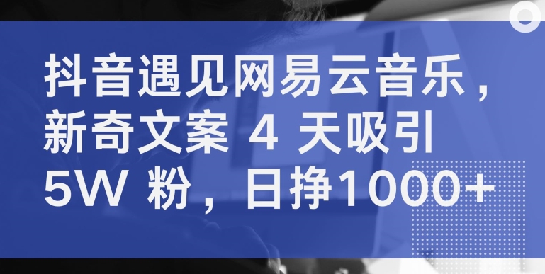 抖音遇见网易云音乐，新奇文案 4 天吸引 5W 粉，日挣1000+【揭秘】-无双资源网