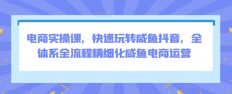 电商实操课，快速玩转咸鱼抖音，全体系全流程精细化咸鱼电商运营-无双资源网