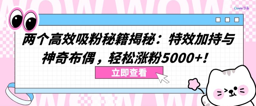 两个高效吸粉秘籍揭秘：特效加持与神奇布偶，轻松涨粉5000+【揭秘】-无双资源网