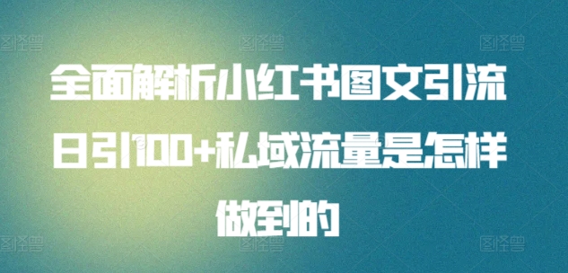 全面解析小红书图文引流日引100+私域流量是怎样做到的【揭秘】-无双资源网