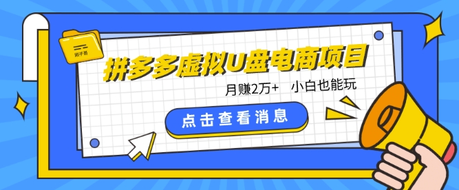 拼多多虚拟U盘电商红利项目：月赚2万+，新手小白也能玩-无双资源网