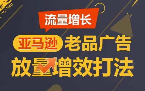 流量增长 亚马逊老品广告放量增效打法，短期内广告销量翻倍-无双资源网