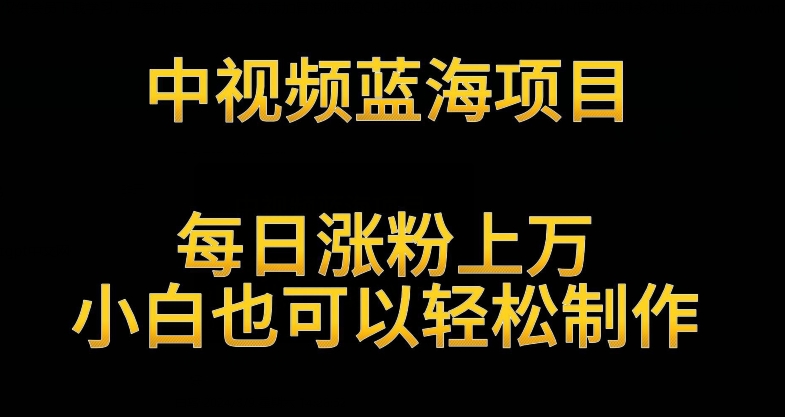 中视频蓝海项目，解读英雄人物生平，每日涨粉上万，小白也可以轻松制作，月入过万不是梦【揭秘】-无双资源网