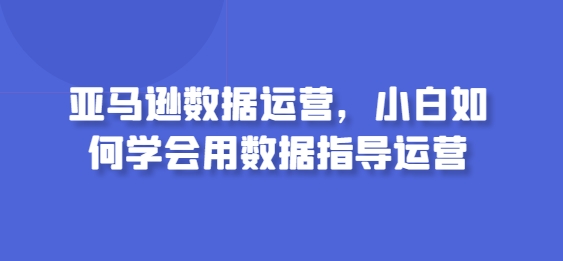 亚马逊数据运营，小白如何学会用数据指导运营-无双资源网