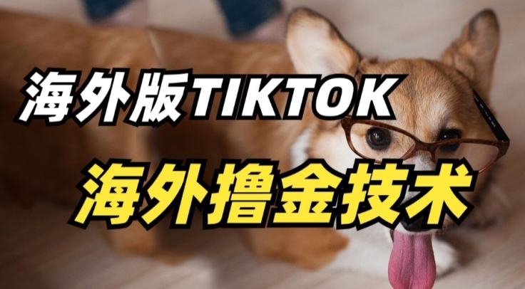 抖音海外版tiktok撸金技术，这个风口行业，赚钱真的不难【揭秘】-无双资源网