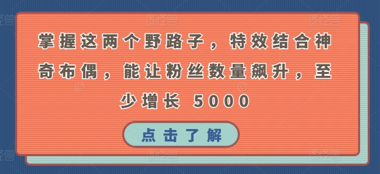 掌握这两个野路子，特效结合神奇布偶，能让粉丝数量飙升，至少增长 5000【揭秘】-无双资源网