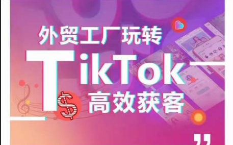 外贸工厂玩转TikTok高效获客，多种引流方式与账号定位技巧，拆解爆款短视频打造成功案例-无双资源网