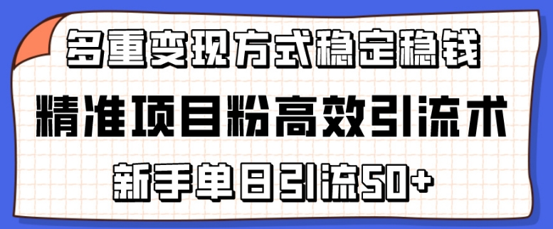 精准项目粉高效引流术，新手单日引流50+，多重变现方式稳定赚钱【揭秘】-无双资源网