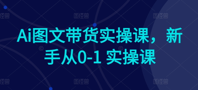 Ai图文带货实操课，新手从0-1 实操课-无双资源网