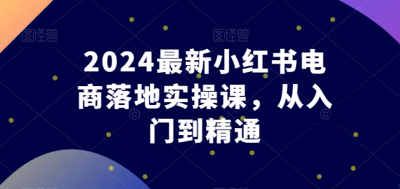 2024最新小红书电商落地实操课，从入门到精通-无双资源网