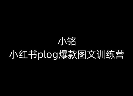 小铭-小红书plog爆款图文训练营，教你从0-1做小红书-无双资源网