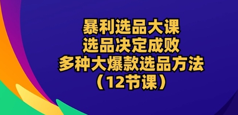 暴利选品大课：选品决定成败，教你多种大爆款选品方法(12节课)-无双资源网