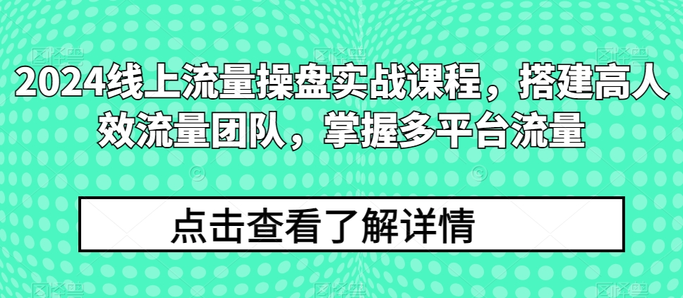 2024线上流量操盘实战课程，搭建高人效流量团队，掌握多平台流量-无双资源网