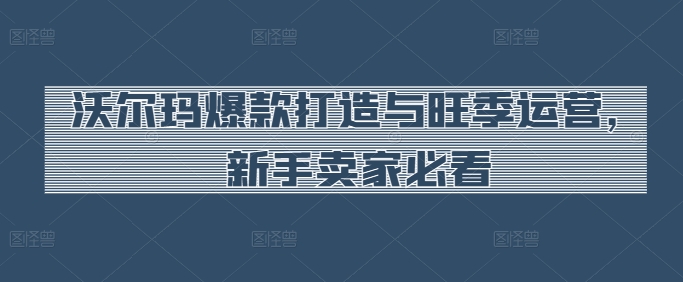 沃尔玛爆款打造与旺季运营，新手卖家必看-无双资源网