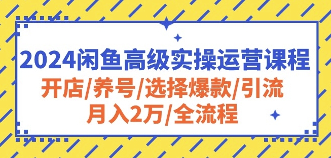 2024闲鱼高级实操运营课程：开店/养号/选择爆款/引流/月入2万/全流程-无双资源网