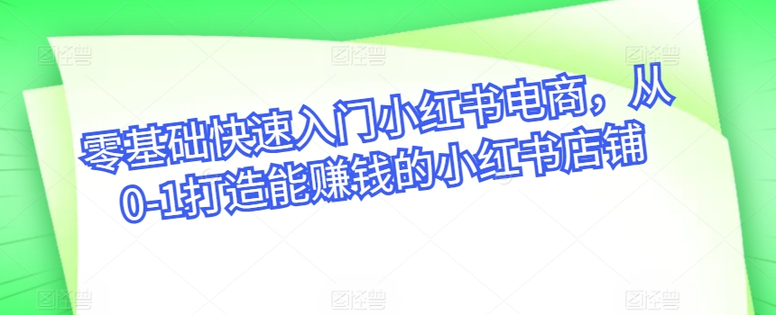 零基础快速入门小红书电商，从0-1打造能赚钱的小红书店铺-无双资源网