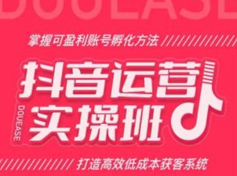 抖音运营实操班，掌握可盈利账号孵化方法，打造高效低成本获客系统-无双资源网