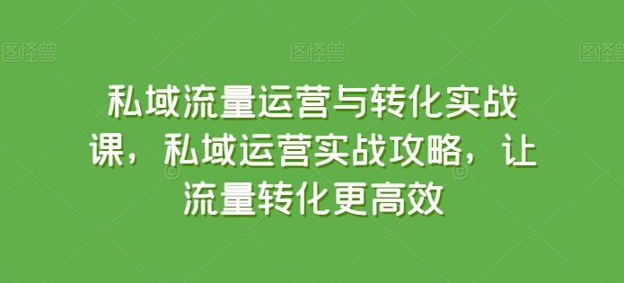 私域流量运营与转化实战课，私域运营实战攻略，让流量转化更高效-无双资源网