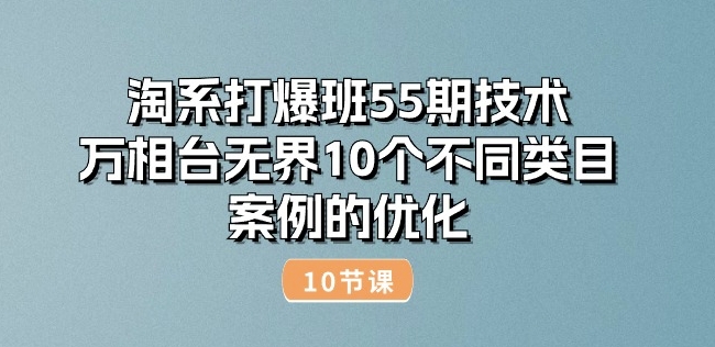 淘系打爆班55期技术：万相台无界10个不同类目案例的优化(10节)-无双资源网