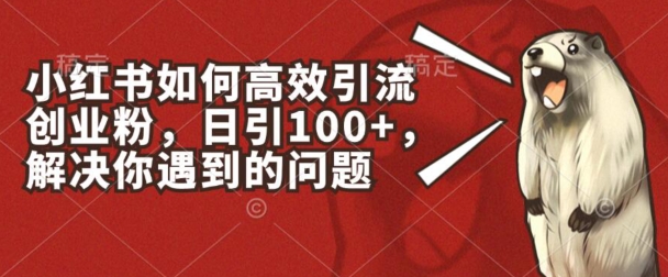 小红书如何高效引流创业粉，日引100+，解决你遇到的问题【揭秘】-无双资源网