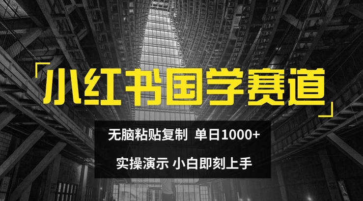 小红书国学赛道，无脑粘贴复制，单日1K，实操演示，小白即刻上手【揭秘】-无双资源网