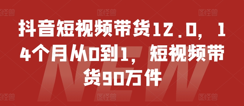 抖音短视频带货12.0，14个月从0到1，短视频带货90万件-无双资源网