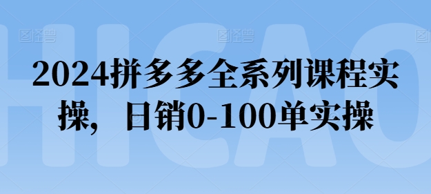 2024拼多多全系列课程实操，日销0-100单实操【必看】-无双资源网