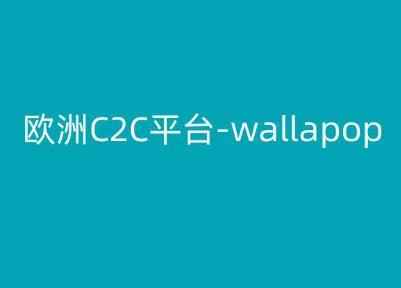 欧洲C2C平台-wallapop-kim跨境电商教程-无双资源网