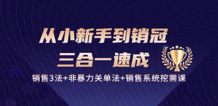 从小新手到销冠 三合一速成：销售3法+非暴力关单法+销售系统挖需课 (27节)-无双资源网