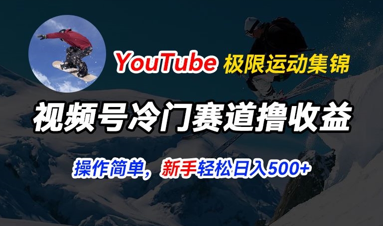 视频号冷门赛道撸收益，YouTube搬运极限运动集锦，暴力起号，操作简单流量高，轻松日入5张【揭秘】-无双资源网