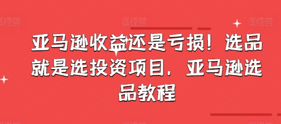 亚马逊收益还是亏损！选品就是选投资项目，亚马逊选品教程-无双资源网